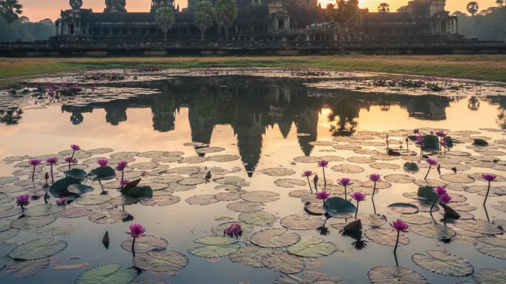 Traveler outside the Angkor temples in Cambodia checking their phone for signal