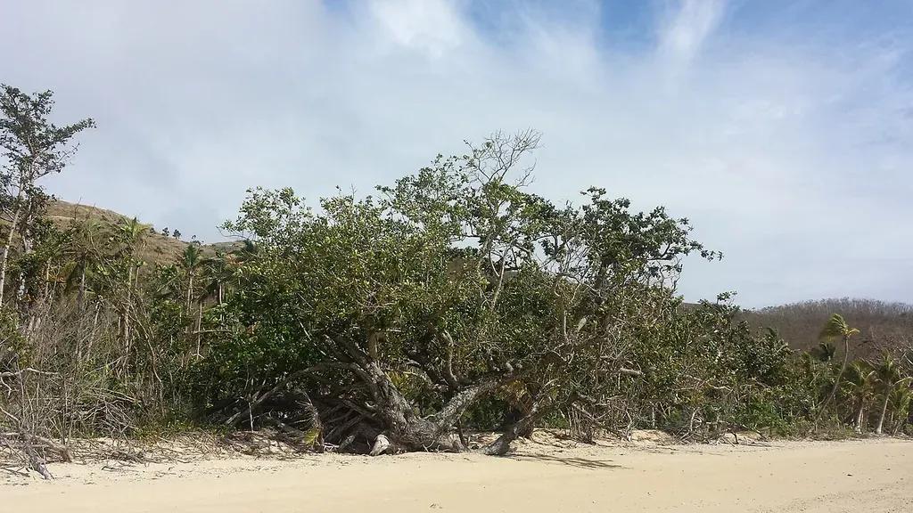 Fiji travel destination - Buy eSIM Fiji for mobile internet