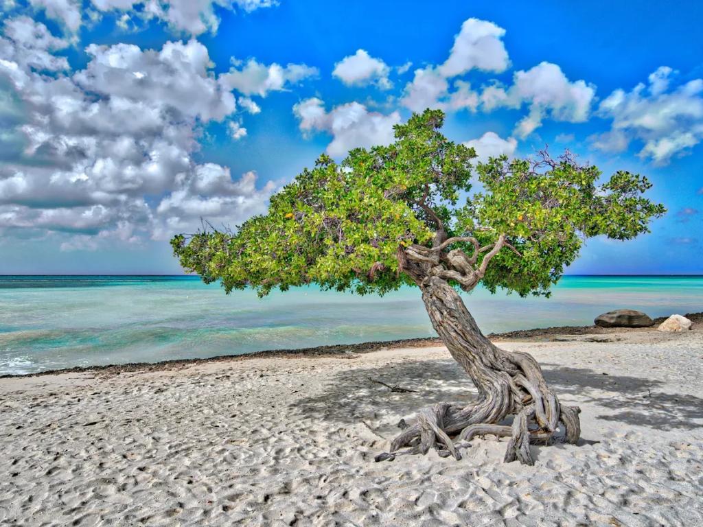 Aruba travel destination - Buy eSIM Aruba for mobile internet